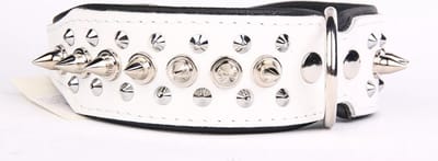 Dog's Companion Leren Halsband - met Spikes - Lengte: 50cm Verstelbaar van: 40-47 cm x 40 mm - Wit/Zwart