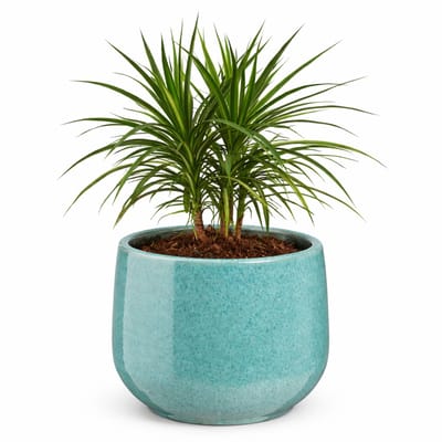 Mica Decorations bloempot / plantenpot Venice - blauw turquoise - terracotta - D16 x H13 cm - effen