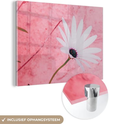 MuchoWow® Glasschilderij 40x30 cm - Schilderij acrylglas - Bloemen - Roze - Vintage - Foto op glas - Schilderijen