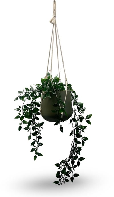 Plantenhanger Zonder Kwast - Kies Kleur en Lengte - Gebroken Wit - 60 cm lang - Katoenkoord - Geschikt voor Pot met Diameter t/m 15 cm - Handgemaakt in ons Macramé Atelier - Prijs per Stuk - Let op: Exclusief Pot - Inclusief Verzendkosten