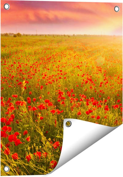 Gards Tuinposter Rode Klaproos Bloemenveld - Zonsondergang - 40x50 cm - Tuindoek - Tuindecoratie - Wanddecoratie buiten - Tuinschilderij