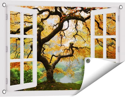 Gards Tuinposter Doorkijk Oude Knoestige Boom - 60x40 cm - Tuindoek - Tuindecoratie - Wanddecoratie buiten - Tuinschilderij