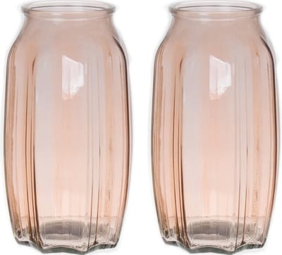 Bellatio Design Bloemenvaas - 2x - taupe/bruin - transparant glas - 12 x 22 cm - vaas
