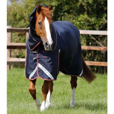 Outdoor paardendeken met halsbedekking Premier Equine Titan 100 g