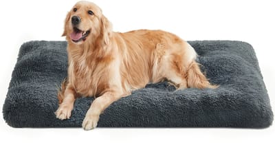 Feandrea - Hondenmand - Hondenbed met Zachte Vulling - Pluche Hondenmat - Wasbaar en Multifunctioneel