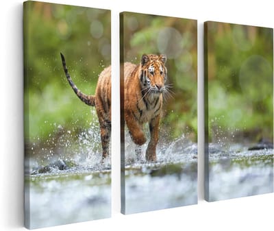 Artaza Canvas Schilderij Drieluik Tijger Loopt In Het Water - 120x80 - Foto Op Canvas - Canvas Print