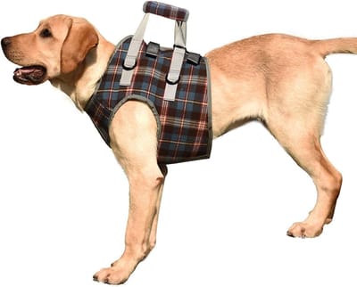 Hondenloophulp Tuigje - Hulp voor Honden - Ondersteuning Beweging - Verstelbaar Klittenband - Maat S - Zwart