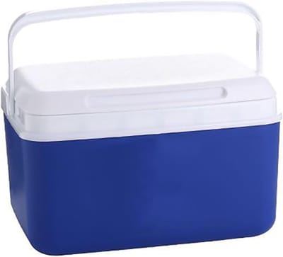Draagbare Koeler - Ijsbox Deksel - Buitenactiviteiten - Voedselveilige Binnenlaag - 9L Capaciteit - One Color