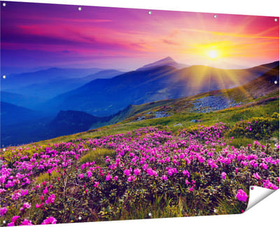 Gards Tuinposter Roze Rhododendron Bloemenveld - Bergen - 180x120 cm - Tuindoek - Tuindecoratie - Wanddecoratie buiten - Tuinschilderij