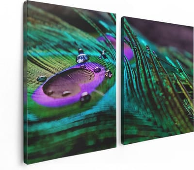 Artaza Canvas Schilderij Tweeluik Kleurrijke Pauw Veer Met Waterdruppels  - 120x80 - Foto Op Canvas - Canvas Print