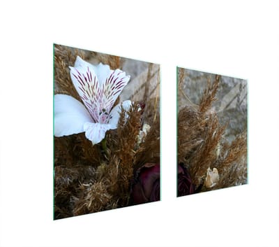 TMK ArtDeko - Glasbeschermer - 85x52 - Orchidee - Voor Verschillende Fornuissoorten