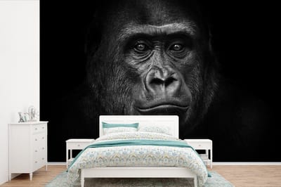 Behang - Fotobehang Gorilla - Zwart - Wit - Dieren - Portret - Breedte 390 cm x hoogte 260 cm