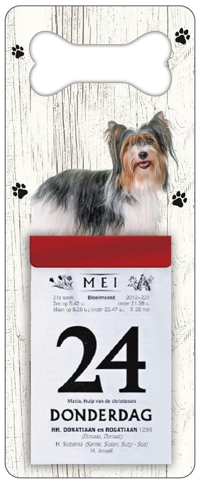 Scheurkalender 2027 Hond: Biewer Yorkshire Terrier