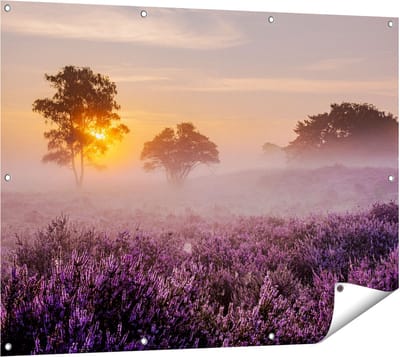 Gards Tuinposter Weide in de Veluwe bij Zonsondergang - 120x90 cm - Tuindoek - Tuindecoratie - Wanddecoratie buiten - Tuinschilderij