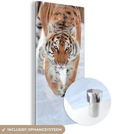 MuchoWow® Glasschilderij 20x40 cm - Schilderij acrylglas - Tijger - Sneeuw - Dieren - Foto op glas - Schilderijen