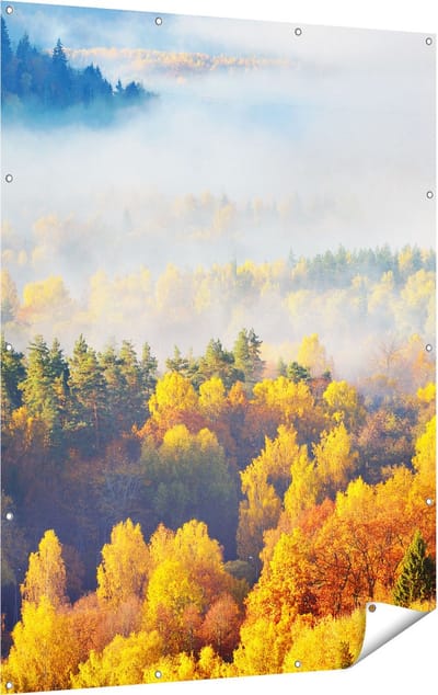 Gards Tuinposter Gekleurde Herfstbos met Mist - 120x160 cm - Tuindoek - Tuindecoratie - Wanddecoratie buiten - Tuinschilderij