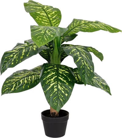 Kunstplant Dieffenbachia Bananenplant voor Binnen en Buiten - Decoratieve Planten voor Woonkamer, Slaapkamer en Keuken - Hoogte 80 cm
