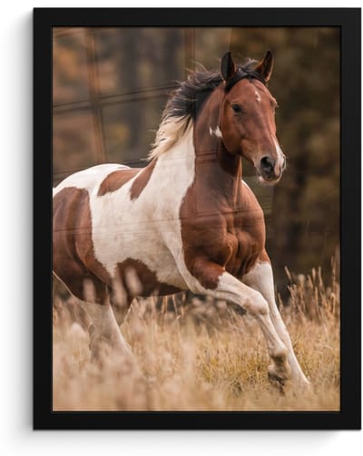 Poster in lijst - Fotolijst 30x40 cm - Posters - Paard - Bruin - Gras - Posterlijst zwart - Decoratie - Wanddecoratie woonkamer - Muurdecoratie slaapkamer