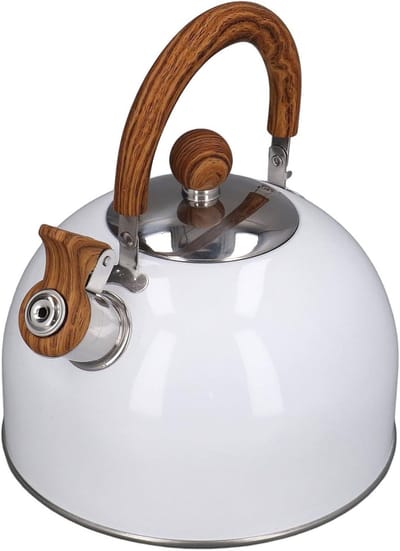 Waterkoker Fluitketel - Theepot RVS - Kamperen Buiten Koken - Snel Verwarmend Water - 2.5 Liter - Zilver