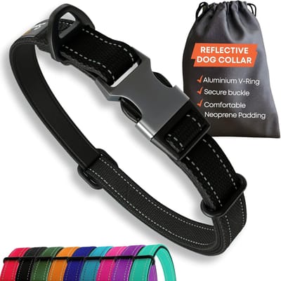 Reflecterende hondenhalsband voor kleine honden - Verstelbaar en Gewatteerd met Veiligheidsring