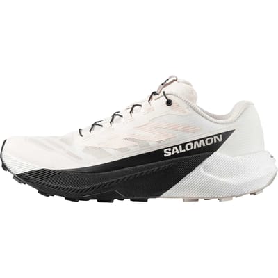 Chaussures de trail SALOMON Pulsar Homme 40.5