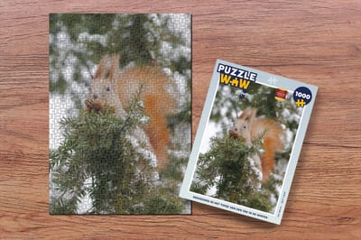 Puzzel Eekhoorn - Tak - Den - Sneeuw - Legpuzzel - Puzzel 1000 stukjes volwassenen - Kerst - Cadeau - Kerstcadeau voor mannen, vrouwen en kinderen