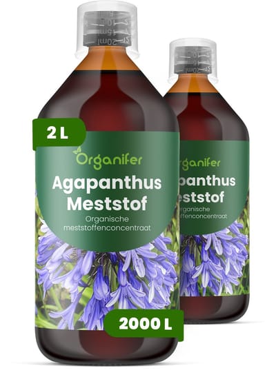 Vloeibare Meststof Voor Agapanthus - 2X1 L Voor 2000 L - Npk 2-1-8 - Voor Levendige Bloemschermen - Knopvorming - Rechtopstaande Bloemstelen - Kkrachtige Wortelontwikkeling - Hittebestendig - Bodemleven - Organifer