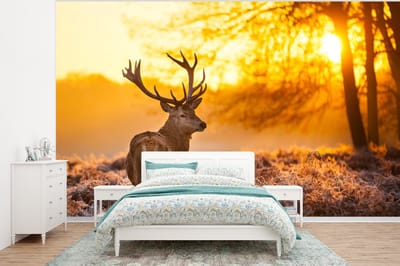 Behang - Fotobehang Hert - Dieren - Zonsondergang - Winter - Heide - Natuur - Breedte 320 cm x hoogte 240 cm