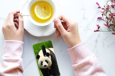 OnePlus 7 Pro TPU Hoesje Panda