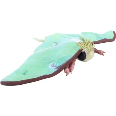 Luna Mot Knuffel Zacht Realistisch Groene Luna Mot Knuffeldier Pluche Natuur Thema Voor Kinderen Insecten Liefhebbers Verjaardagscadeau 25cm white