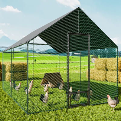 Bingopaw - Kippenhok en ren - Groot buiten eendenhok - Inloopkooi voor pluimvee - Eendenhok - met nylon net - Metalen buizen met zilverkleurige poedercoating - XL - 300x405x276Hcm
