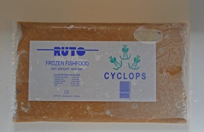 Ruto Cyclops diepvriesvoer flatpack 1000 gram | voor kleine en opgroeiende aquariumvissen Diepvries