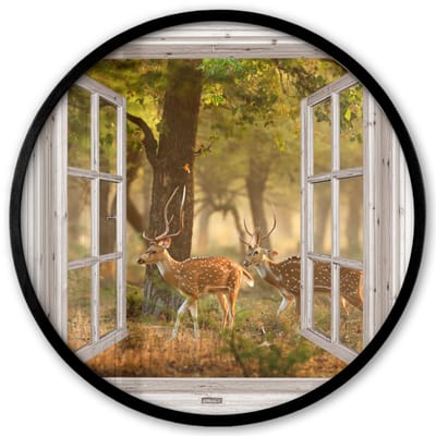Poster in lijst Rond - Fotolijst 40x40 cm - Posters - Herten - Bos - Herfst - Bosdieren - Natuur - Hert - Doorkijk - Ronde posterlijst zwart - Decoratie - Wanddecoratie woonkamer - Muurdecoratie slaapkamer