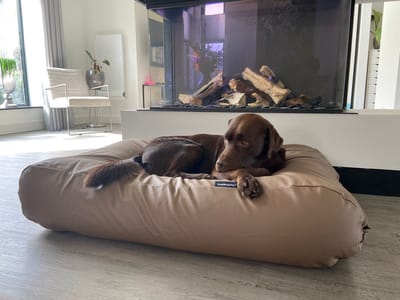 Dog's Companion Hondenkussen / Hondenbed - XS - 55 x 45 cm - Kunstleer - Taupe Leather Look