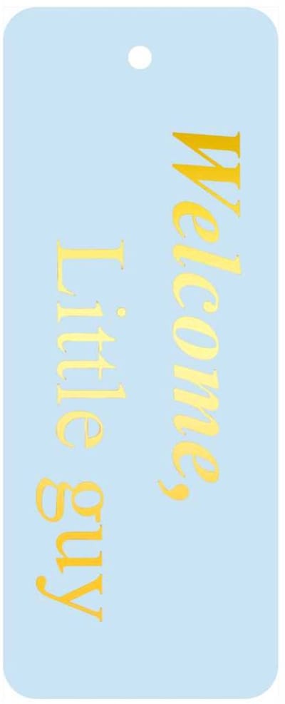 Luxe Cadeaukaartjes “Welcome, little guy” Lichtblauw met Goudfolie – 20 Stuks – Met Gaatje – Geboorte Labels