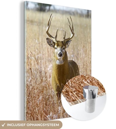 MuchoWow® Glasschilderij 90x120 cm - Schilderij acrylglas - Hert - Gras - Herfst - Dieren - Natuur - Gewei - Foto op glas - Schilderijen