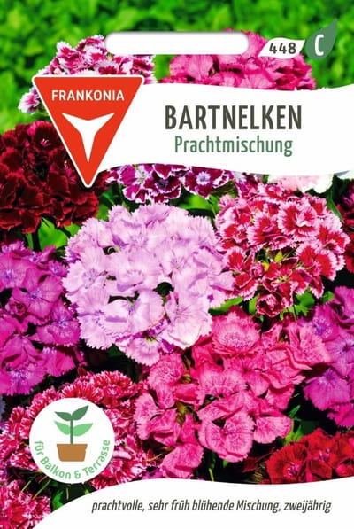 Sweet William, gemengde variëteit - bloemzaden, anjerzaden, zaadmix