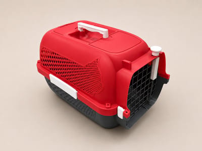 Transportband voor dieren