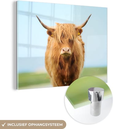 MuchoWow® Glasschilderij 160x120 cm - Schilderij acrylglas - Schotse hooglander - Haar - Gras - Foto op glas - Schilderijen