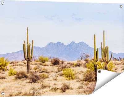 Gards Tuinposter Cactussen in de Woestijn - 90x60 cm - Tuindoek - Tuindecoratie - Wanddecoratie buiten - Tuinschilderij