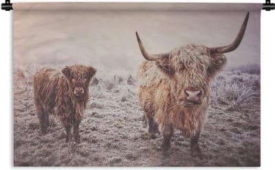 Wandkleed Schotse Hooglanders In De Winter - Portretfoto Schotse hooglanders op bevroren veld Wandkleed katoen 150x100 cm - Wandtapijt met foto