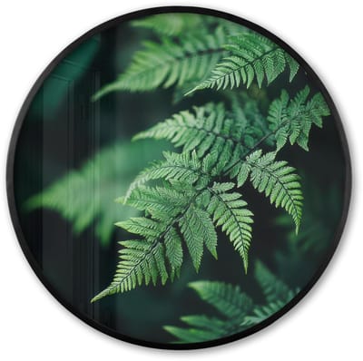 Poster in lijst Rond - Fotolijst 60x60 cm - Posters - Varenblad - Groen - Structuur - Wazig - Ronde posterlijst zwart - Decoratie - Wanddecoratie woonkamer - Muurdecoratie slaapkamer