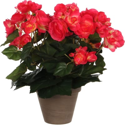 Mica Decoration Kunstplant - begonia - roze - in pot - 25 cm - nepplanten