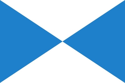 Vlag Halle 100x150cm
