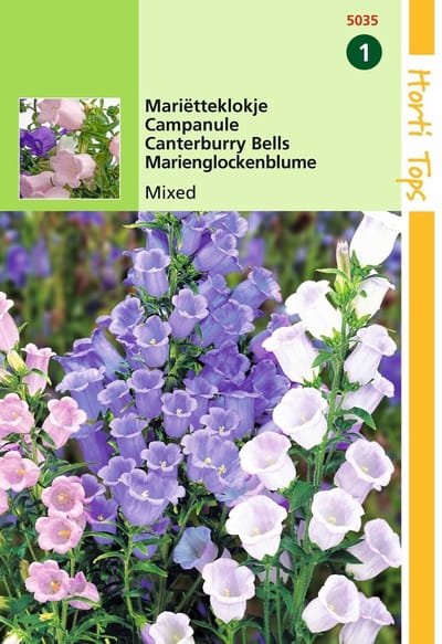 2 stuks Hortitops Campanula Medium Enkelbloemig Gemengd