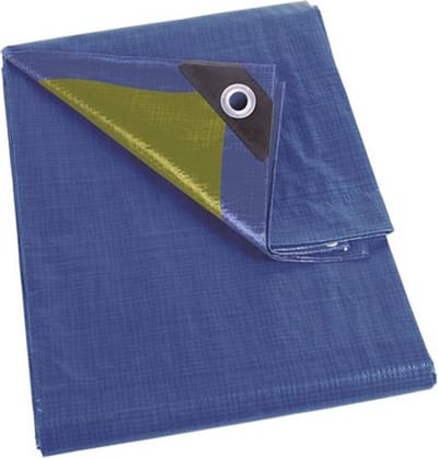 Perel Dekzeil, sterk, 54 ringen, versterkte hoeken, rechthoekig, blauw/groen, 110 g/m², 12 x 15 m