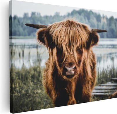 Artaza Canvas Schilderij Hooglander - 40x30 cm - Klein - Canvas Schilderijen Woonkamer - Muurdecoratie Natuur - Kamer Accessoires