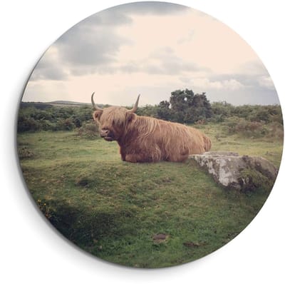 KitchenArt - Rustige Hooglander in de natuur – Muurcirkel Binnen - ø 40 cm - Wandcirkel - Mét Ophangsysteem - Wanddecoratie - Muurdecoratie