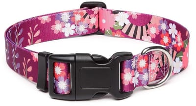 Dailygoods- Hondenhalsband Verstelbaar - Hondenhalsband Middelgrote Honden - Zacht/Nylon - Bloemenmotief - Duurzaam - Comfortabel - Halsband