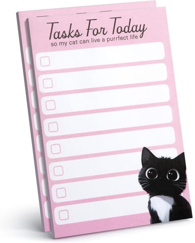 2 stuks Grappige Zwarte Kat To Do Lijst Notitieblokken Plaknotities Kattenliefhebber Cadeau
